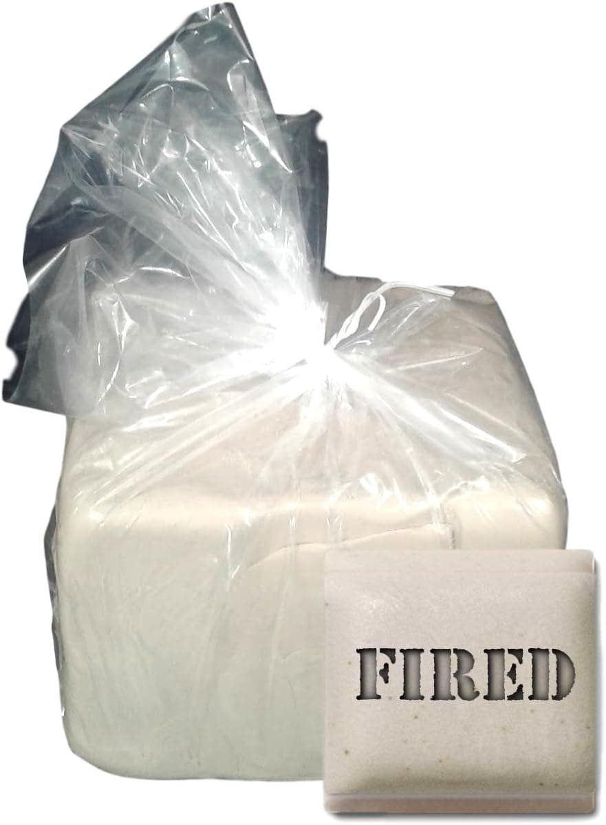 Aurora Pottery Ceramic Clay - Pottery Clay for Potters Best Mix Plus Cone 10 (10 Pounds)